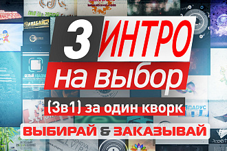 3 интро на выбор, за 1 услуга