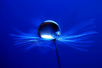 Подбор 50 фото на любую тему с хороших стоков