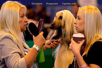 Сайт под ключ на Tilda