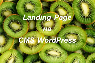 Landing Page на CMS WordPress