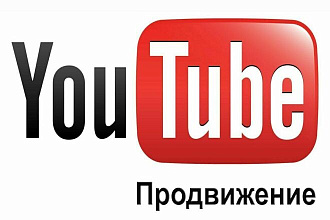 Пакетная поисковая оптимизация 10 роликов на Ютуб