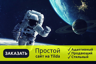 Простой сайт на Tilda без админки с выгрузкой на ваш хостинг