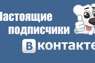100 целевых подписчиков ВК без ботов и собачек