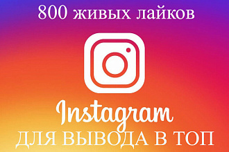 800 живых лайков в Instagram Высокий шанс попадания в ТОП