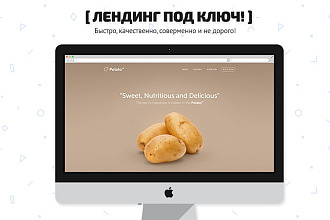 Лендинг под ключ