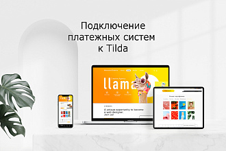 Интеграция платежной системы с сайтом на Tilda