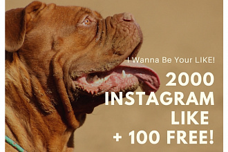2000 + 100 горячих лайков на Ваш Instagram