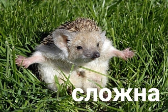 Смонтирую видеоряд