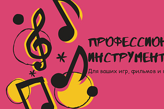 Профессиональный инструментал, минус на заказ