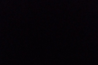 Напишу или переведу любой текст