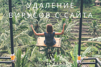 Удаление вирусов с сайта