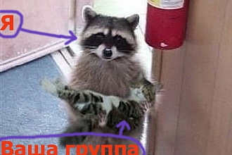 Сделаю аудит сообщества