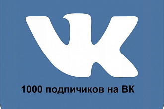 1000 подписчиков на страницу ВК