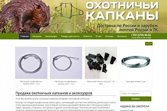 Продающий интернет-магазин