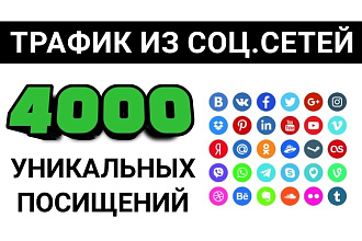 4000 уникальных посещений на сайт. Трафик из соц. сетей. Геотаргетинг