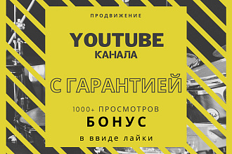 Реальные просмотры YouTube 1000+ просмотров с гаратией