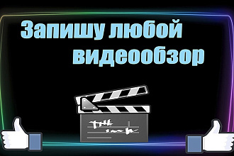 Запишу видеообзор любой тематике