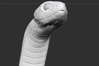 3D дизайн, анримация, логотипы, модели для 3D печати