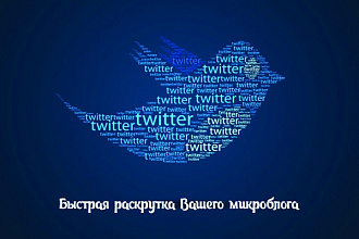 + тысяча фолловеров в Twitter