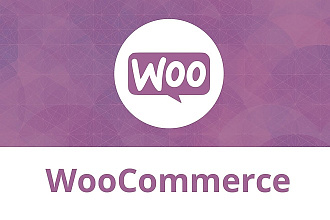 Доработка Woocommerce, а также доработка связных плагинов