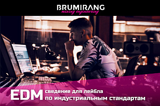 EDM сведение для лейбла по индустриальным стандартам