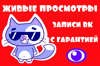 12000 живых просмотров вашей записи ВК с гарантией