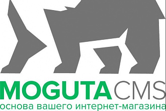 Создание качественного интернет-магазина
