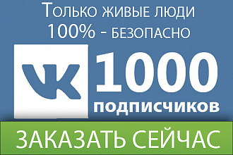 Приведу 1000 живых подписчиков Вконтакте. 100% - безопасно