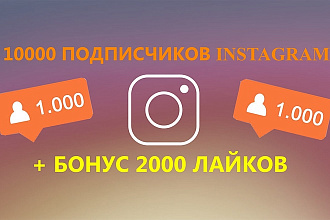 10000 подписчиков instagram + бонус 2000 лайков