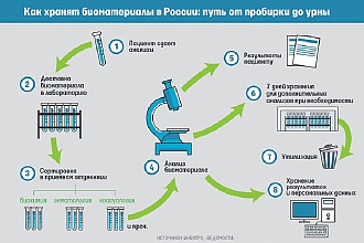 Инфографика любой сложности на ваше усмотрение с нуля