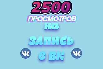 2500 просмотров на запись Вконтакте