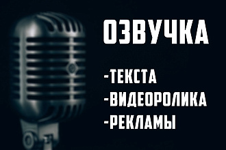 Дикторская озвучка
