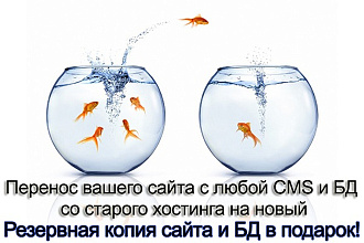 Перенесу ваш сайт на любой CMS со старого хостинга на новый