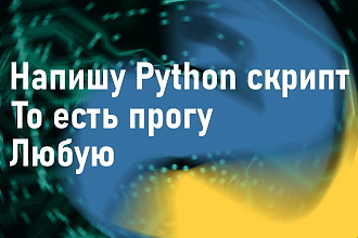 Напишу любой Python скрипт