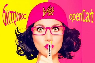 Напишу техзадание на интернет-магазин для Opencart или Битрикс 1С