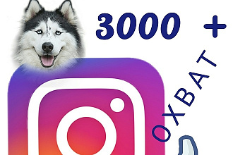 Лайки 3000+ охват