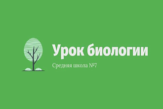 Выполняю презинтацию средней и лёгкой сложности