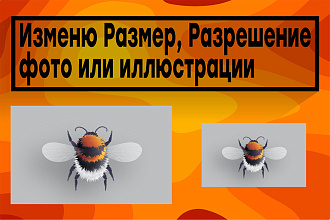 Подгон и сжатие фото под определённый размер и качество 50 шт