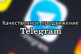 300 участников в Телеграм канал или чат