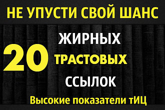 20 жирных вечных ссылок с трастовых сайтов с Высоким ТИЦ