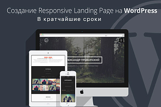 Создание лендинга на WordPress