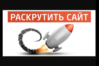 Организую 200 визитов на Ваш сайт