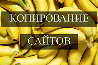 Скопирую сайт любой сложности