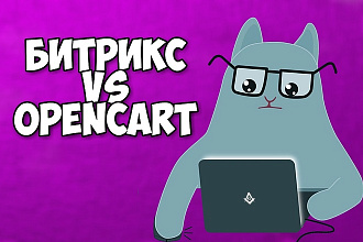 Напишу техзадание на интернет-магазин для Opencart или Битрикс 1С