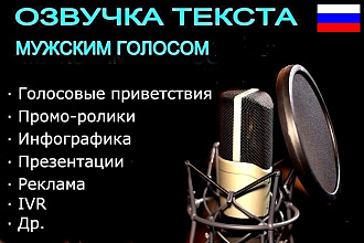 Озвучу текст мужским голосом в рекламу, презентацию, телефонию, IVR