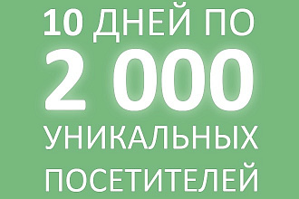 По 2000 уникальных посетителей 10 дней