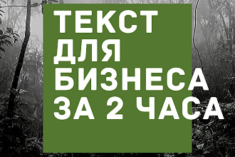 Быстрый текст для вашего бизнеса