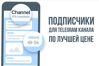 Подписчики в телеграм