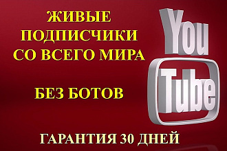 Живые подписчики Ютуб