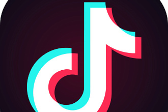 1500 живых Подписчиков в TikTok